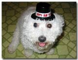 Lets <i>Celebrate!</i>