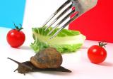French Salad - The Second Course