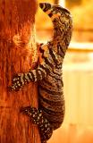 <b>Its my Tree</b><br><font size = 1>enoack
