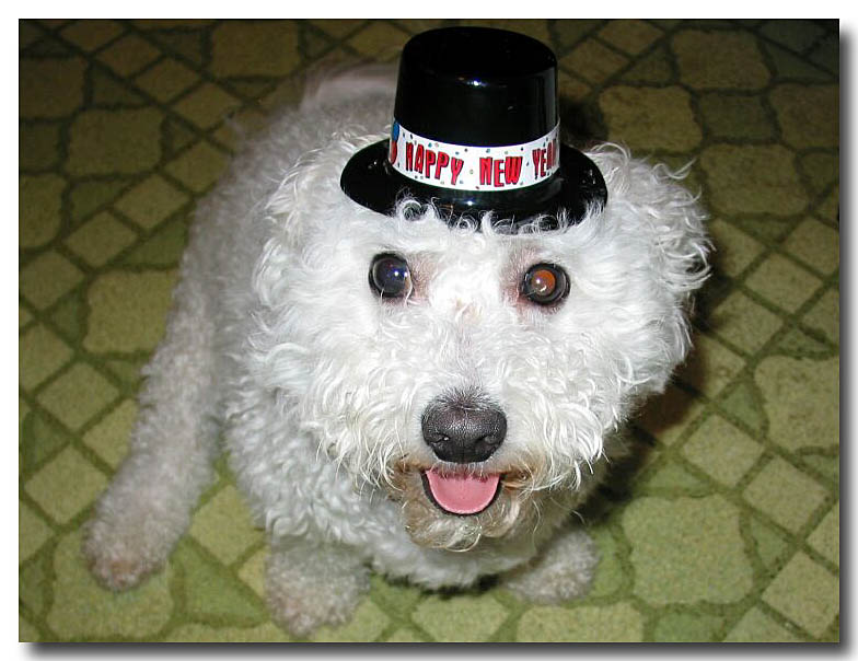 Lets <i>Celebrate!</i>