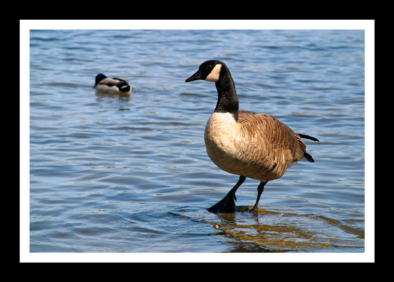 <b>Walkin On Water</b>