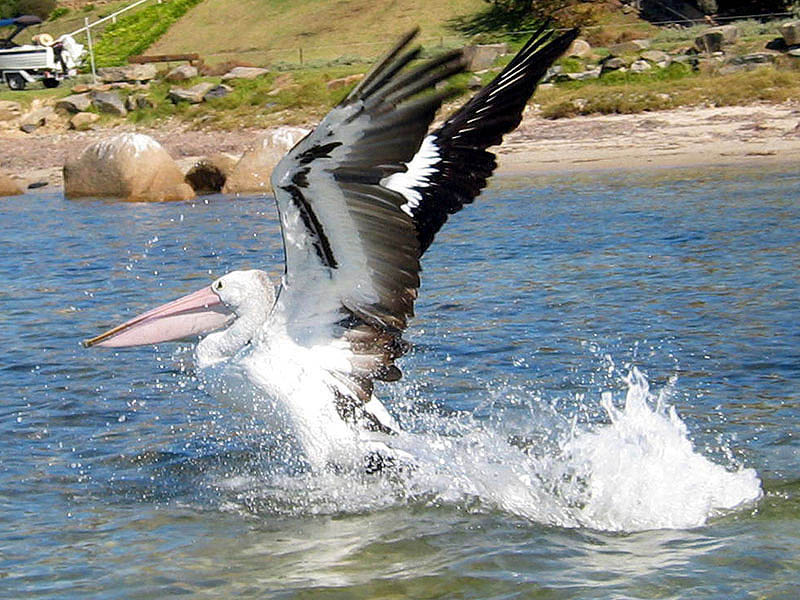 Take Off