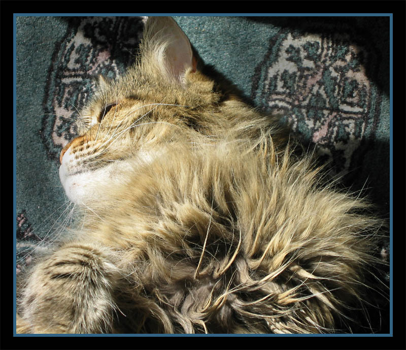 The Queen Rests