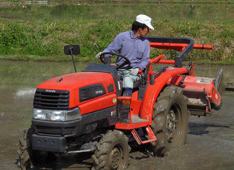 Preparing the paddy field.jpg