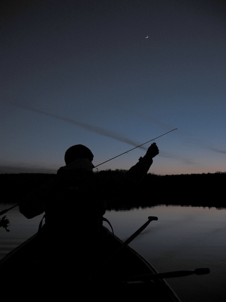 Algonquin Dusk