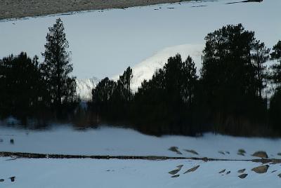 Mirrored reflection