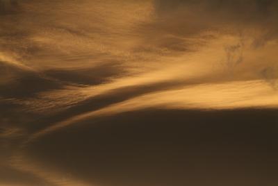 2003050506.jpg