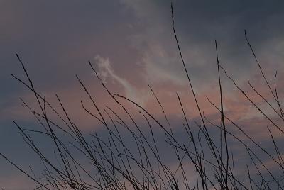 2003050509.jpg