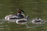 IMG_4996.JPG