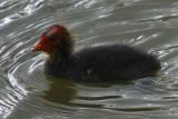 IMG_5043.JPG