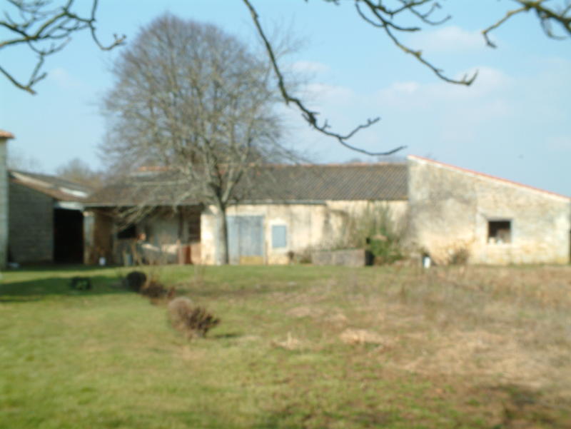 web photos015.JPG