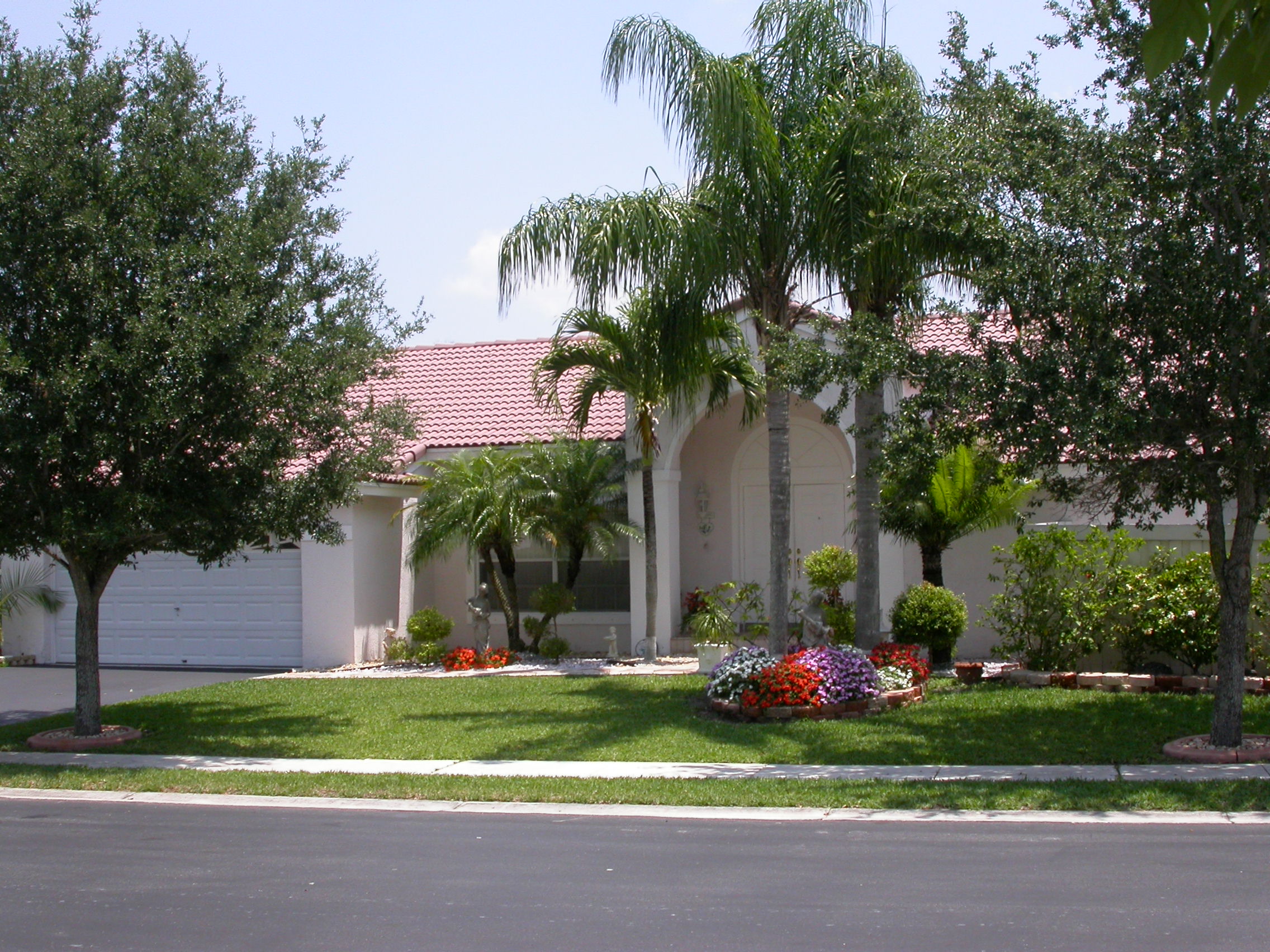 DSCN0091.JPG