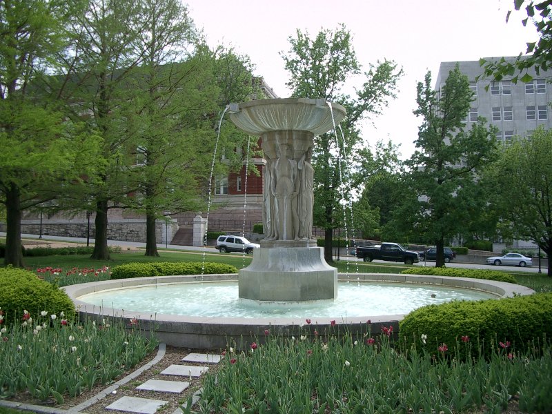 IMGP0450.JPG