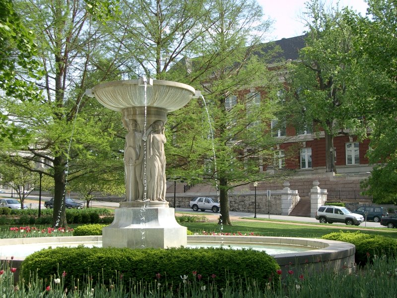 IMGP0476.JPG