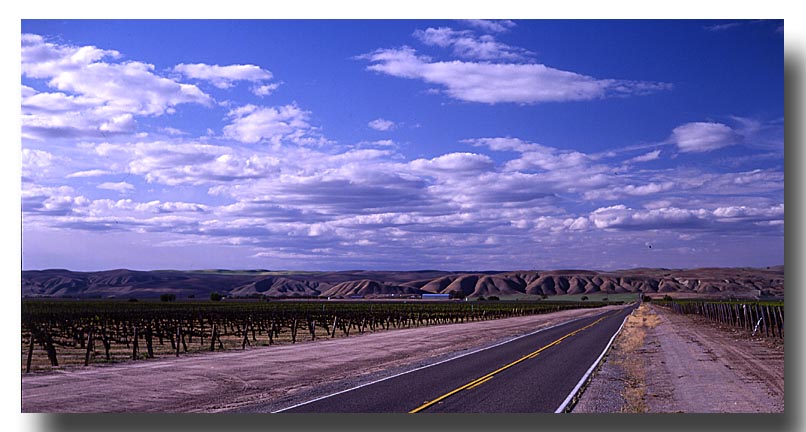 The View from Highway 41, Central California