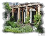 Garden Walk.jpg