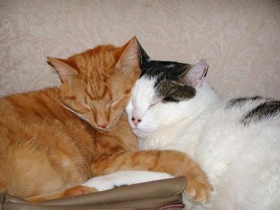merlin and lancelot