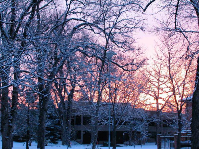 Dawn at Library Park