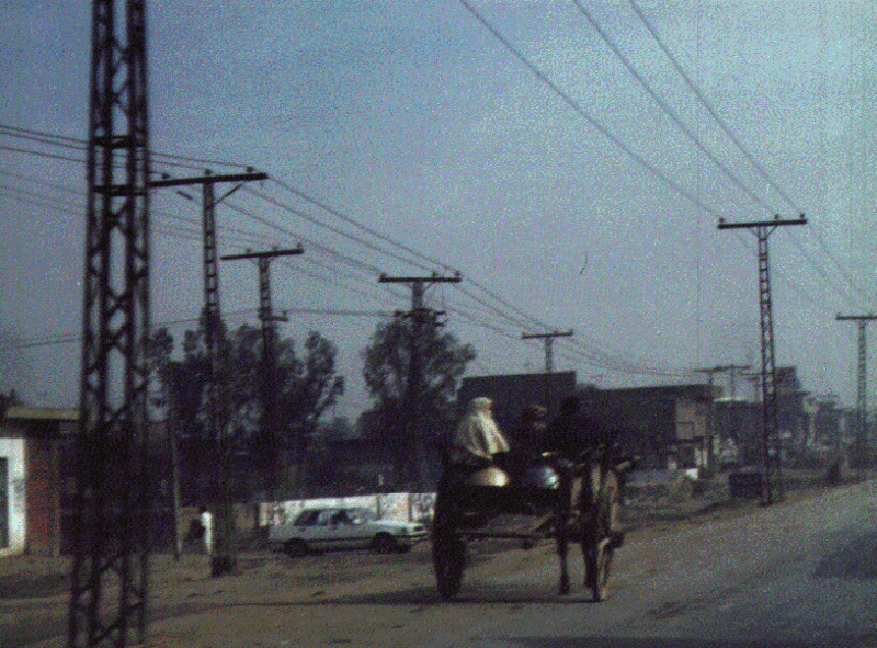 Donkart1.gif