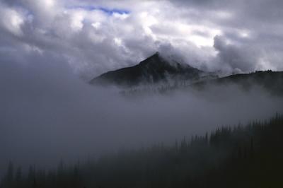 Hurricane-Ridge-1VRA.jpg