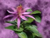 Flower with Trimoon Tutorial