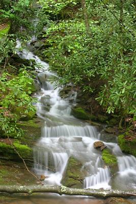 IMG_0528.jpg