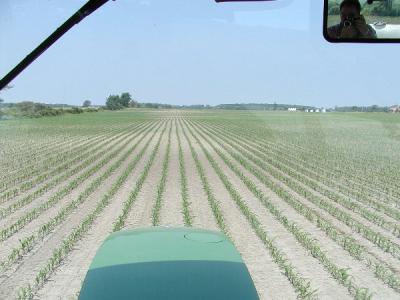 Corn is up and being side dressed/28% Nitrogen.JPG
