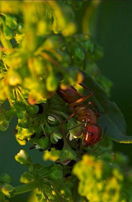 DSC_2131.jpg