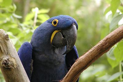 birdphoto.jpg