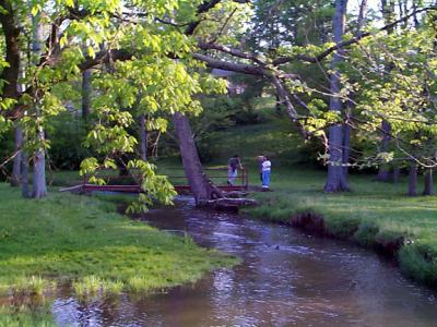 Nice creek with bridge