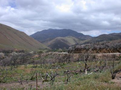 East of Julian on Highway 78