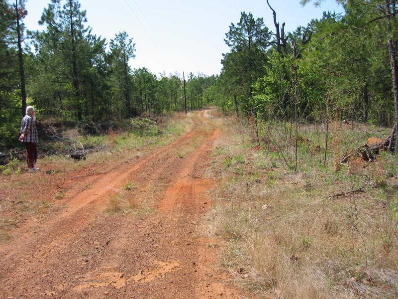 road coming up to mobiles