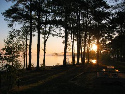 Lake O' The Pines misty morning