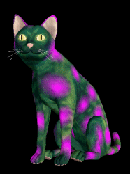 for Cat