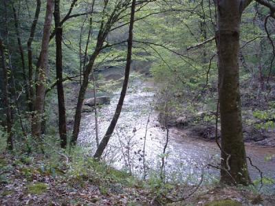 Evening River .jpg