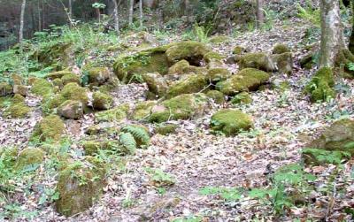 Mossy Rocks.jpg