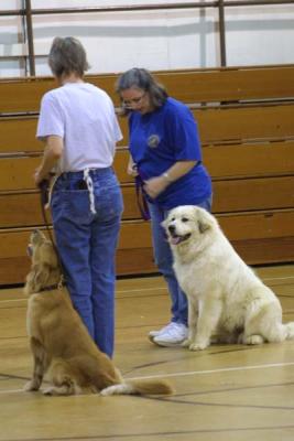 Scally's Graduation