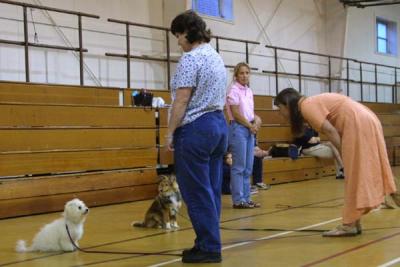 More Beginner Class.jpg