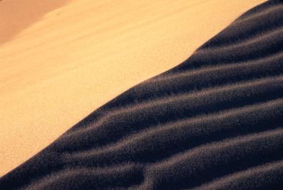 DUNES10_lg.jpg