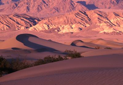 DUNES12_lg.jpg