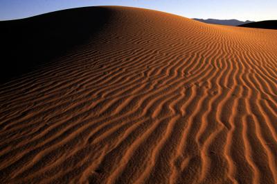 DUNES13_lg.jpg