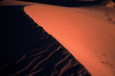 DUNES19_lg.jpg