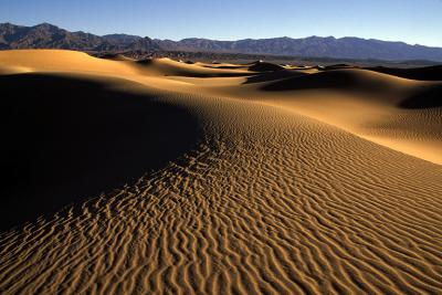 DUNES20_lg.jpg