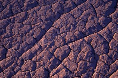 DUNES22_lg.jpg
