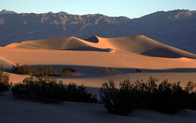 DUNES24_lg.jpg