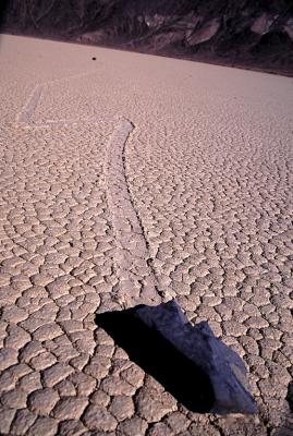 RACETRACK02_lg.jpg