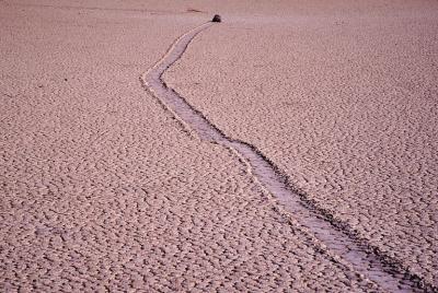 RACETRACK04_lg.jpg