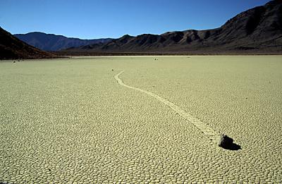 RACETRACK05_lg.jpg