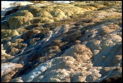 Mammoth_Hot_Springs_22.lg.jpg