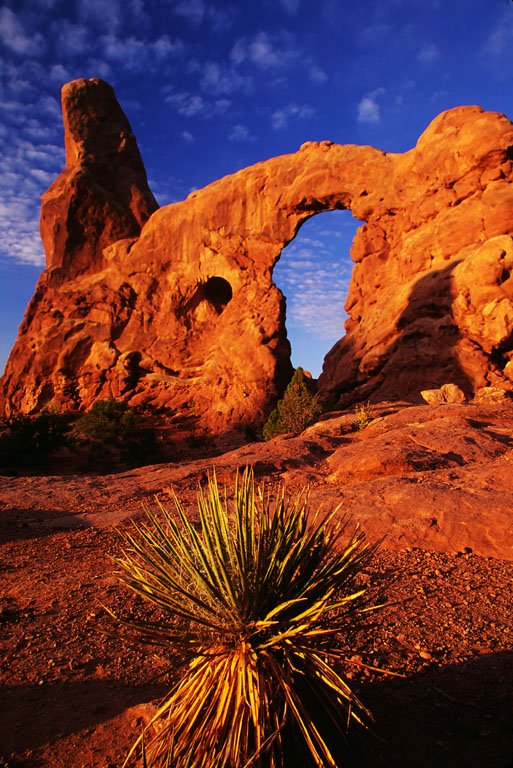 Turret_Arch_01_lg.jpg